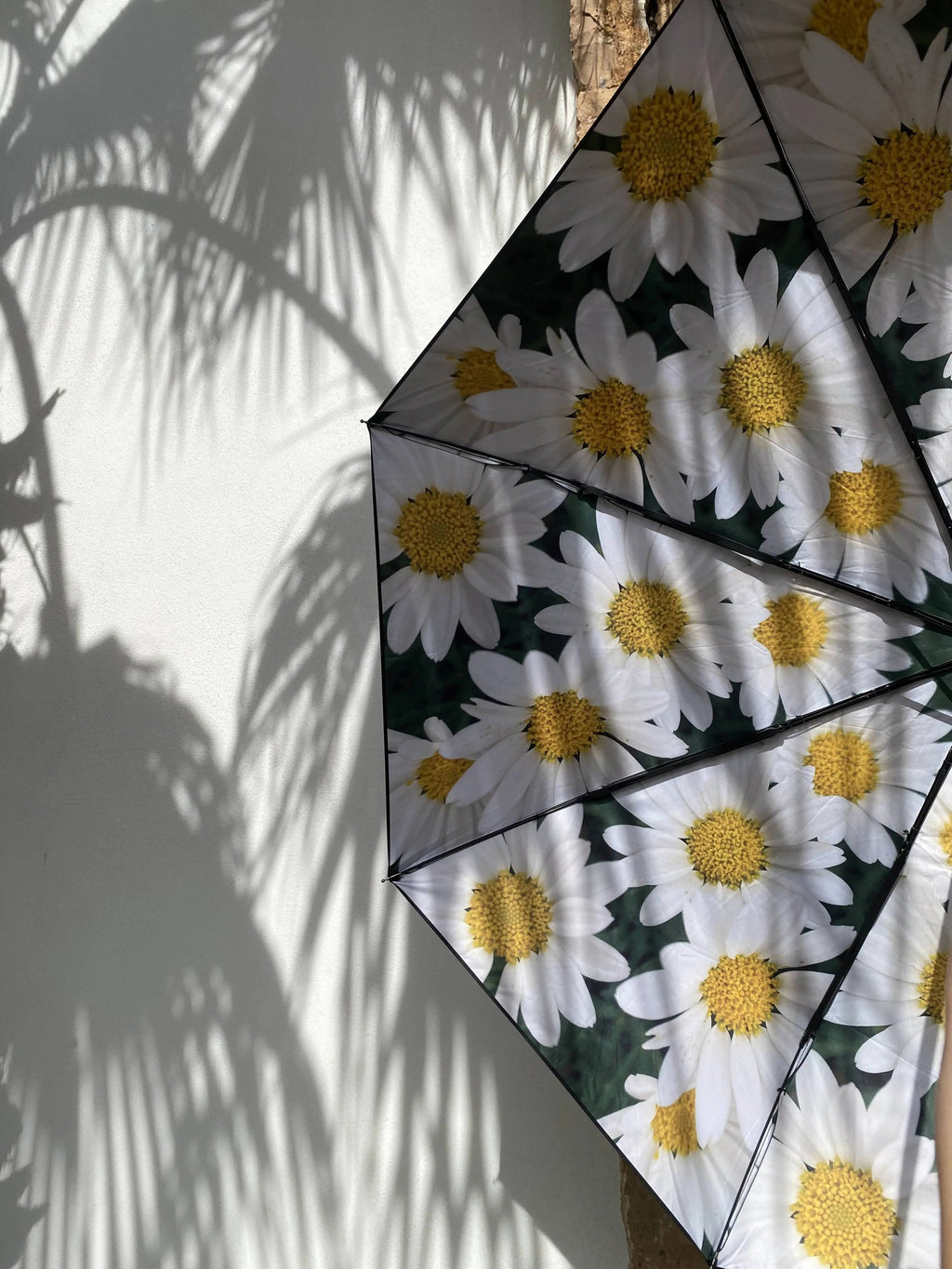 Medium Daisy | Paraplyer från HAPPYSWEEDS