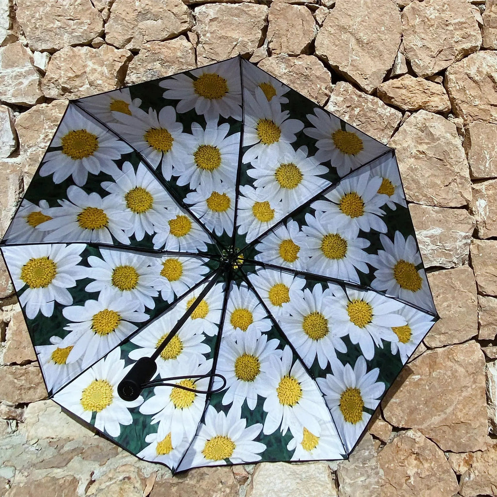 Medium Daisy | Paraplyer från HAPPYSWEEDS