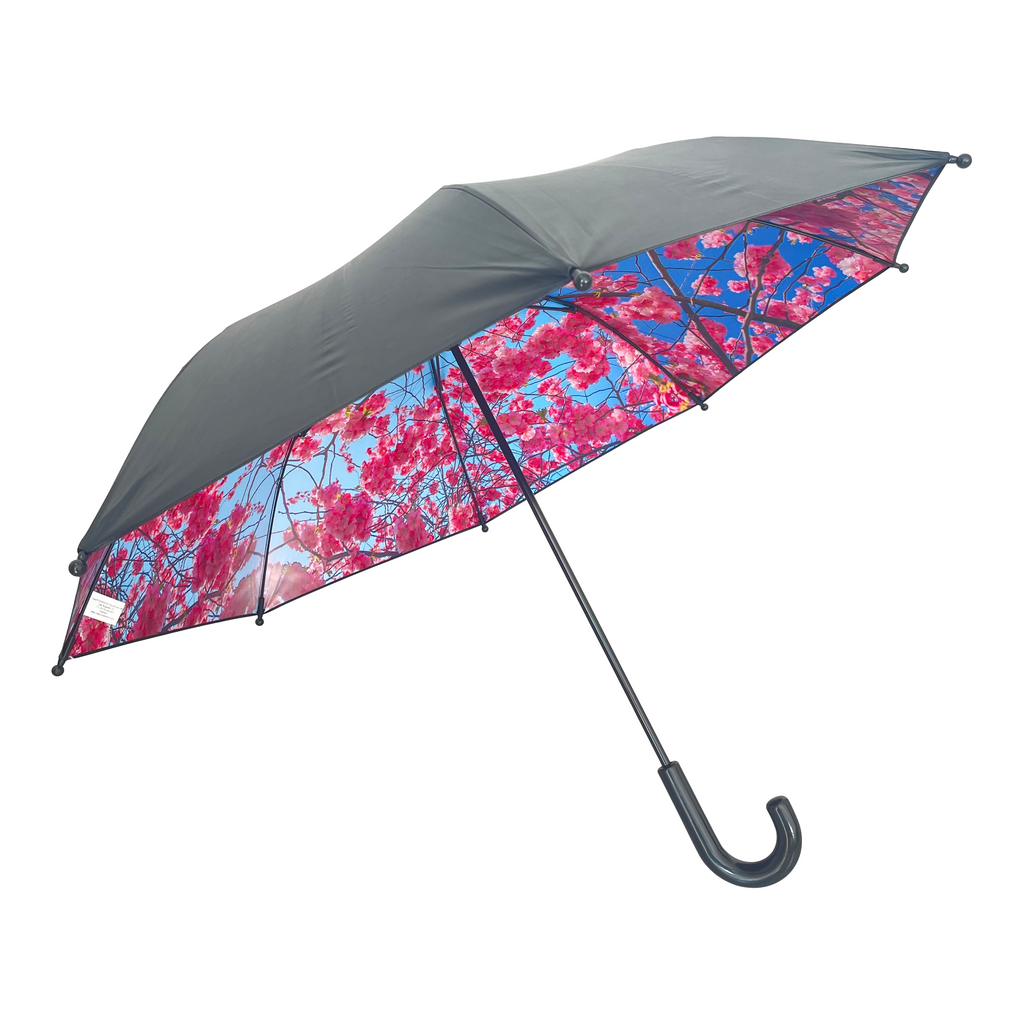 Barn Cherry | Regenschirme von Happysweeds