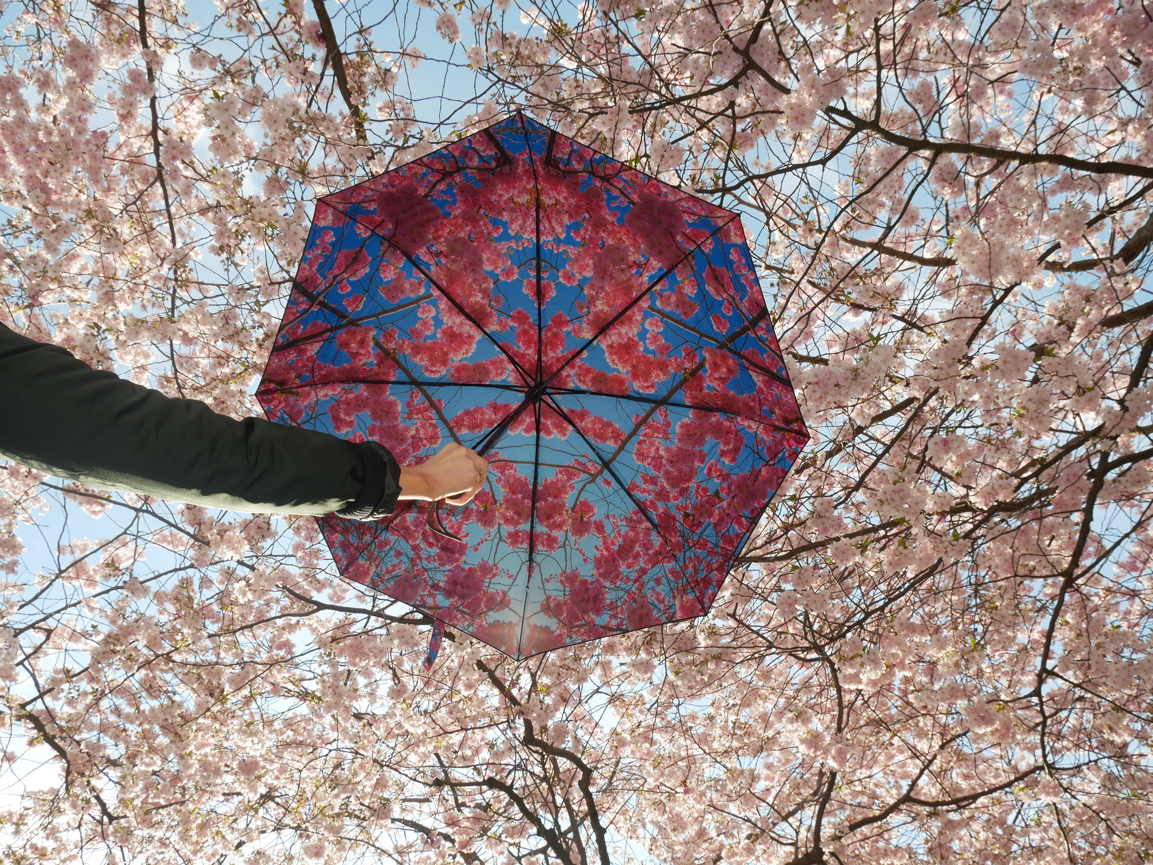 Medium Cherry | Umbrellas from HAPPYSWEEDS