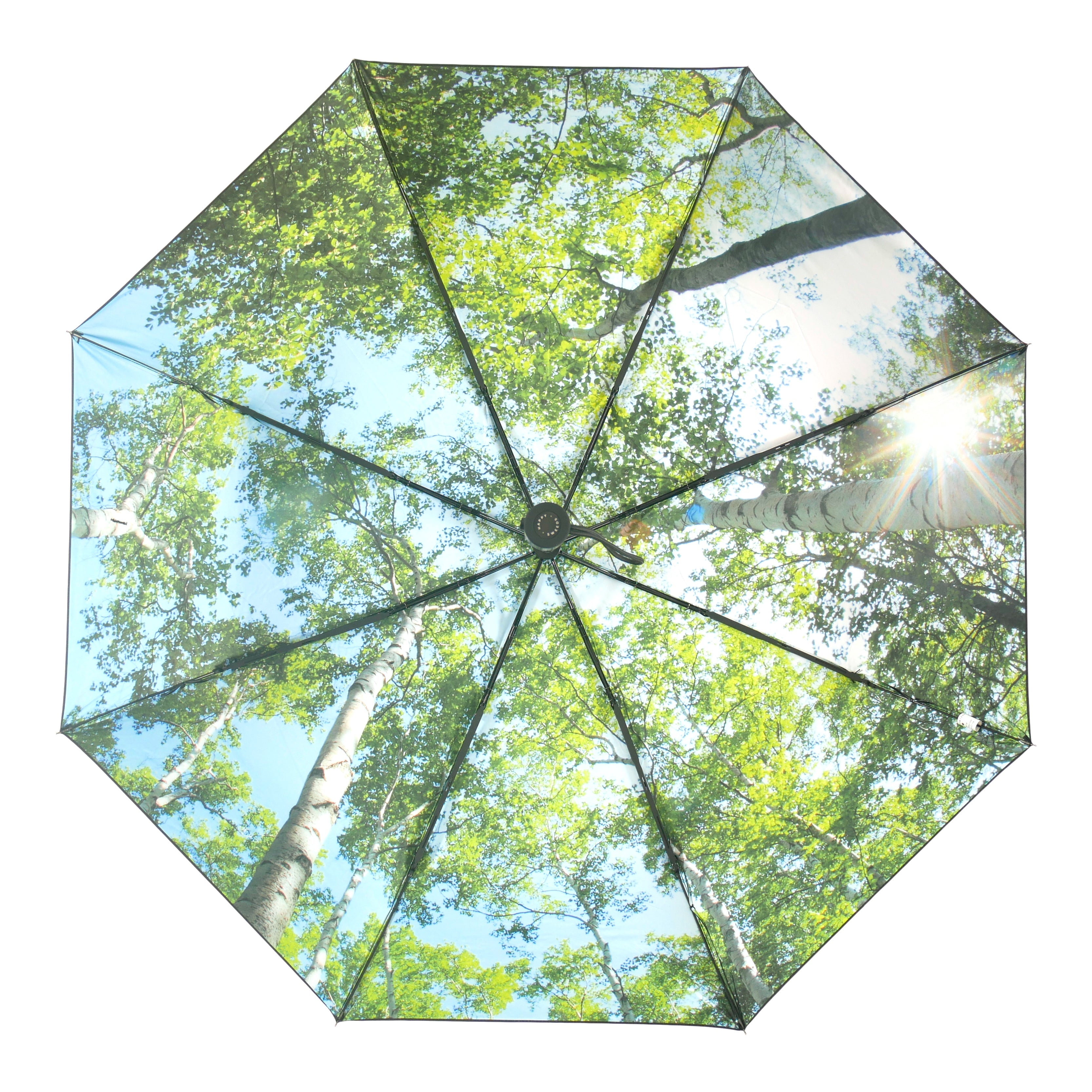 Medium Forest | Regenschirme von HAPPYSWEEDS