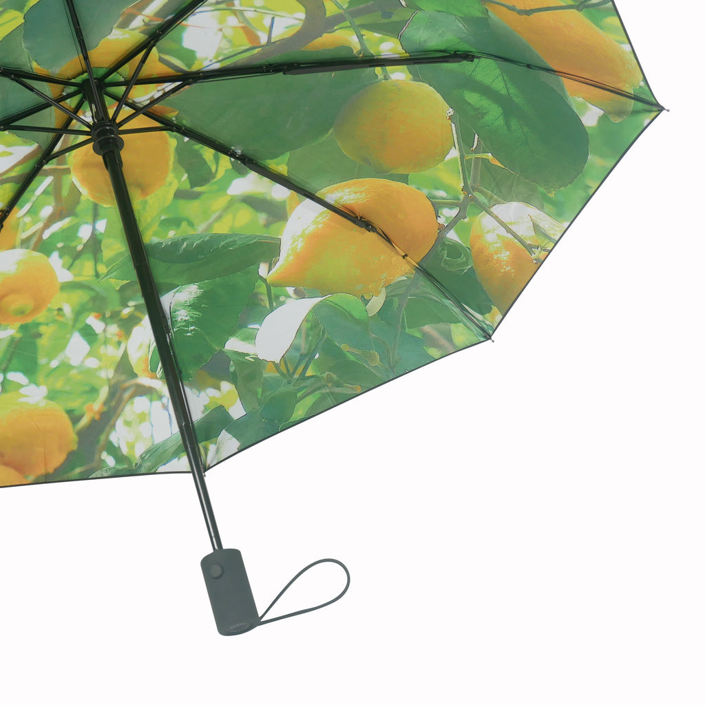 Medium Lemon  | Paraplyer från Happysweeds