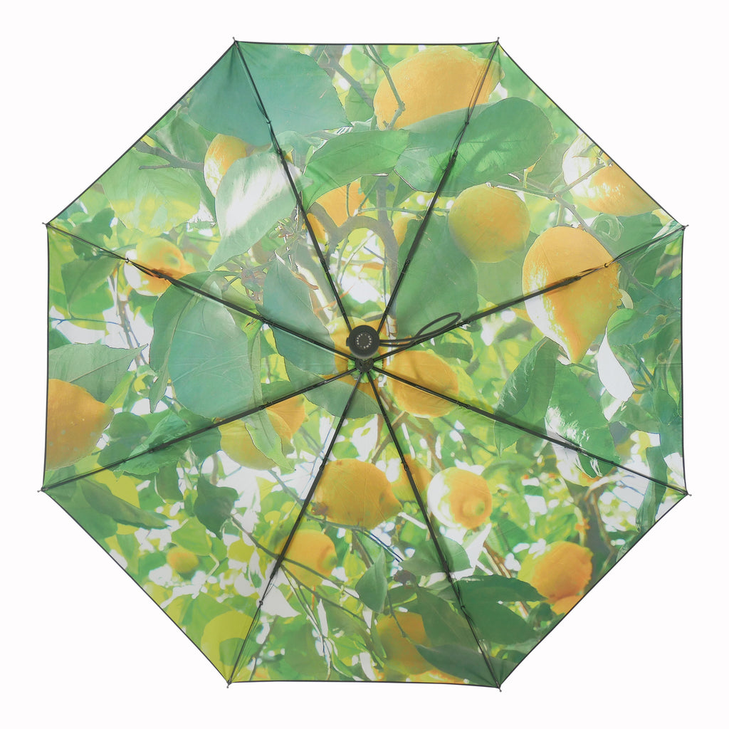Medium Lemon  | Paraplyer från Happysweeds